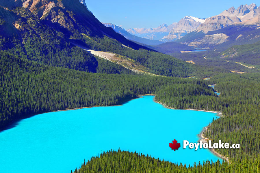 Peyto Lake in Canada's Rockies